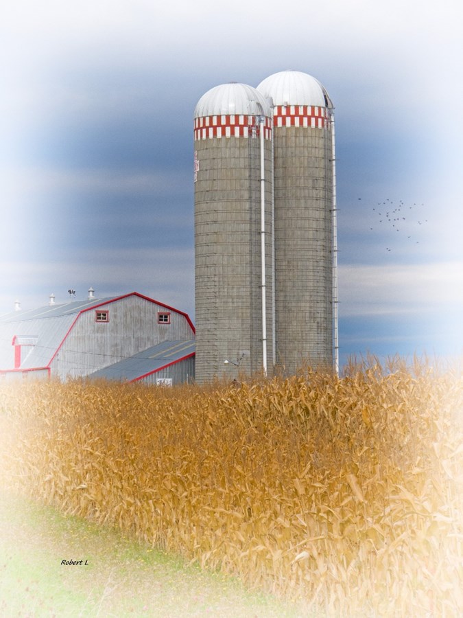 Silo
