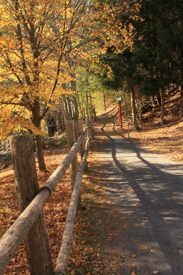une marche dans la nature