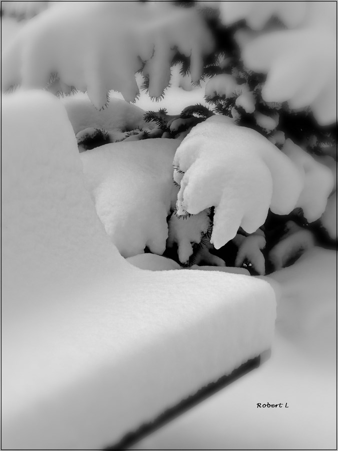 Le banc de...neige