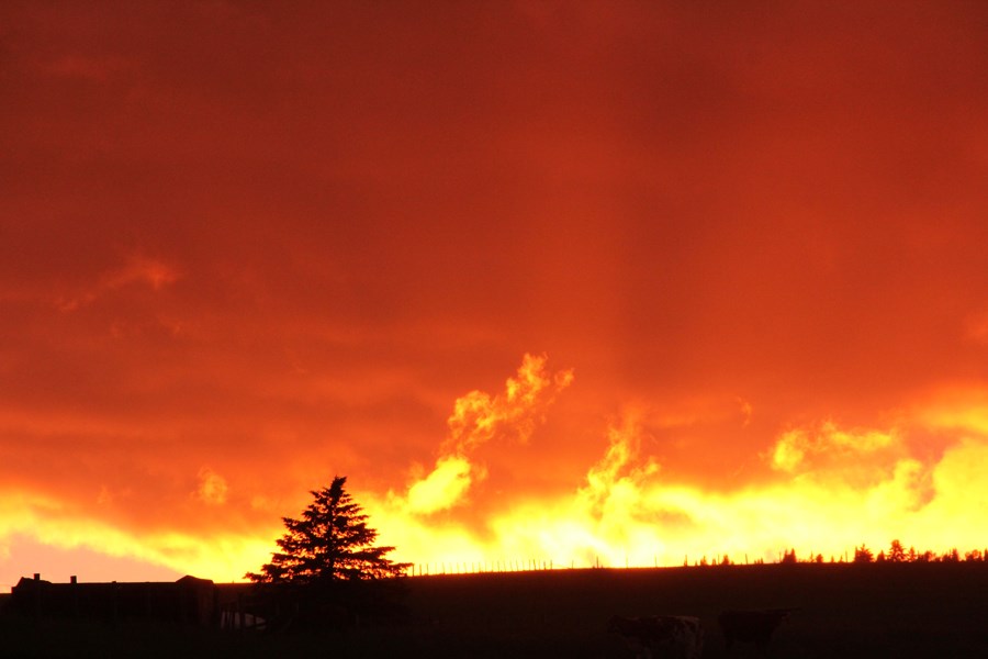 Non ce n'est pas un feu