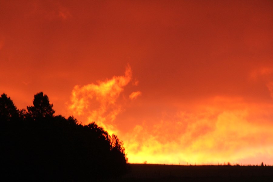 Vraiment beau à voir