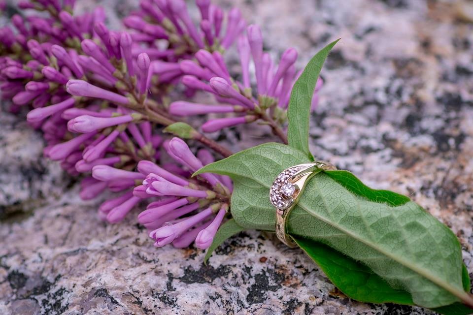 Ces fleurs qui occupent une place importante dans les Maraiges.