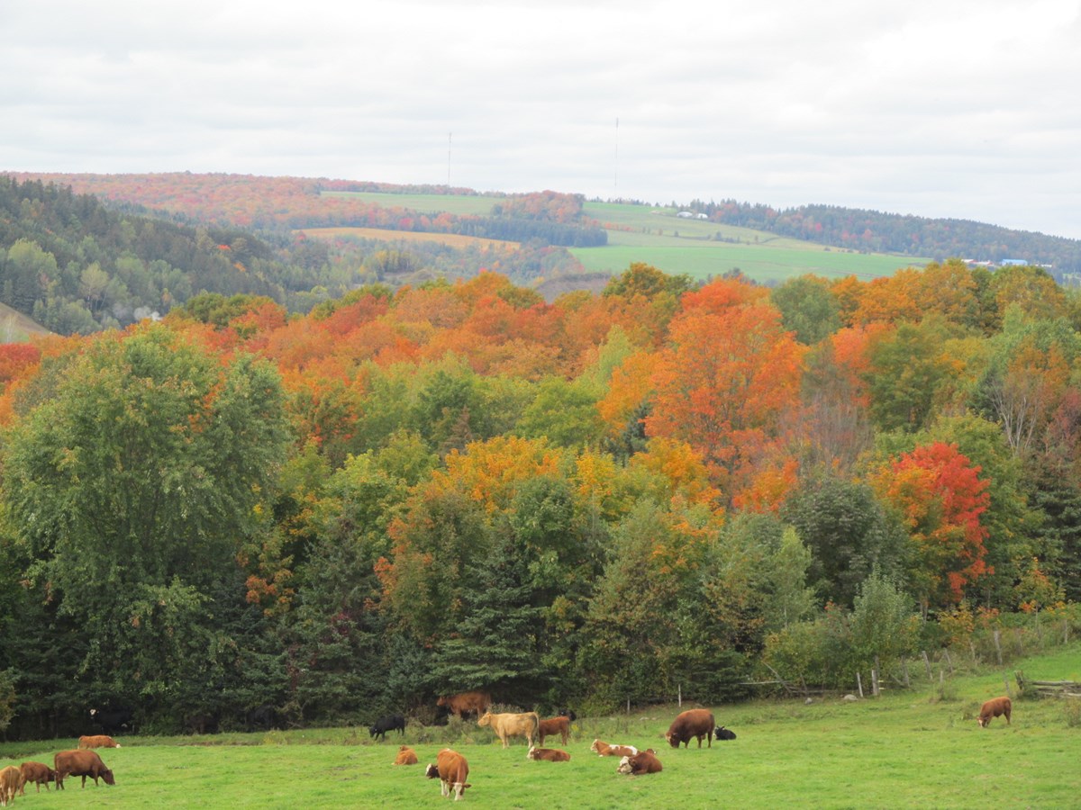 La Beauce dans toutes ses couleurs.