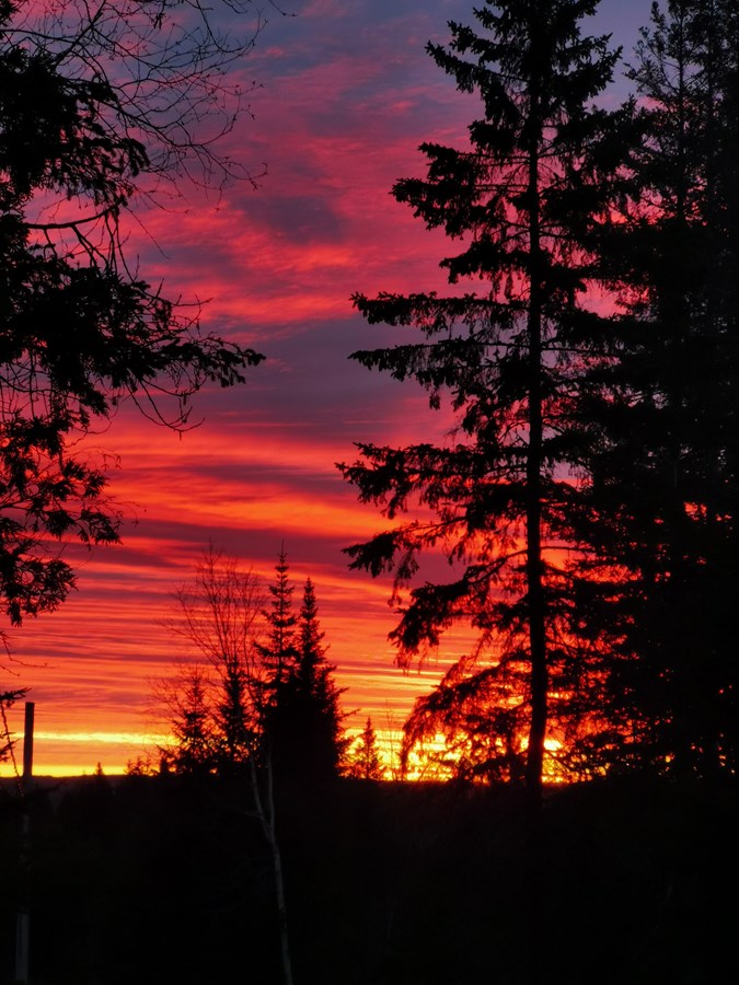 Magnifique levé du soleil