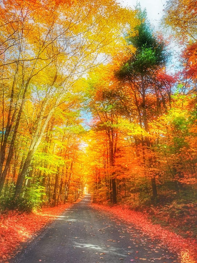 La Beauce dans toute sa splendeur! 