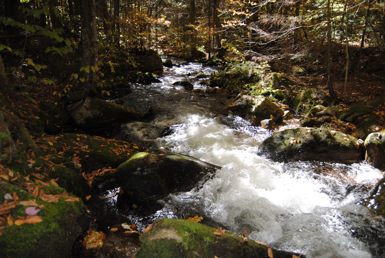 Ruisseau Mont-St-Joseph