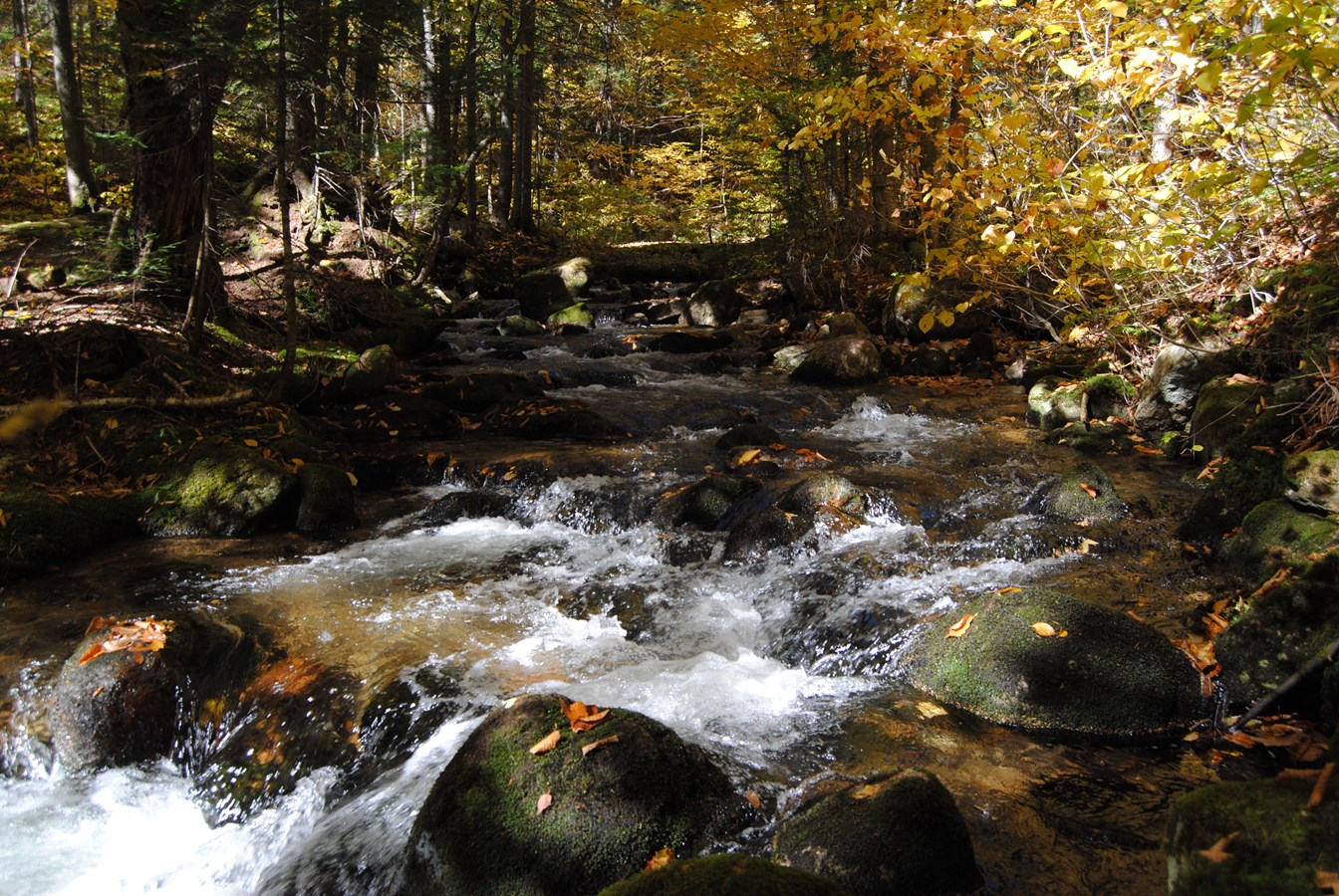 Ruisseau Mont-St-Joseph