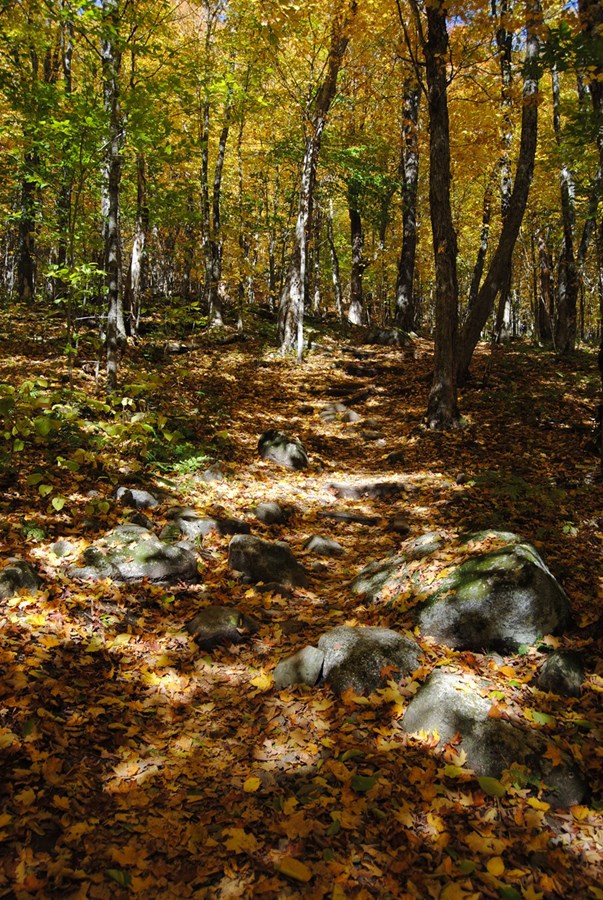 Sentier Mont St-Joseph