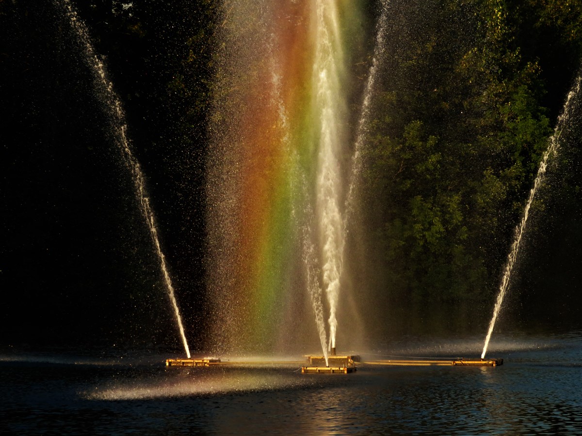 Arc en ciel sux Passerelles