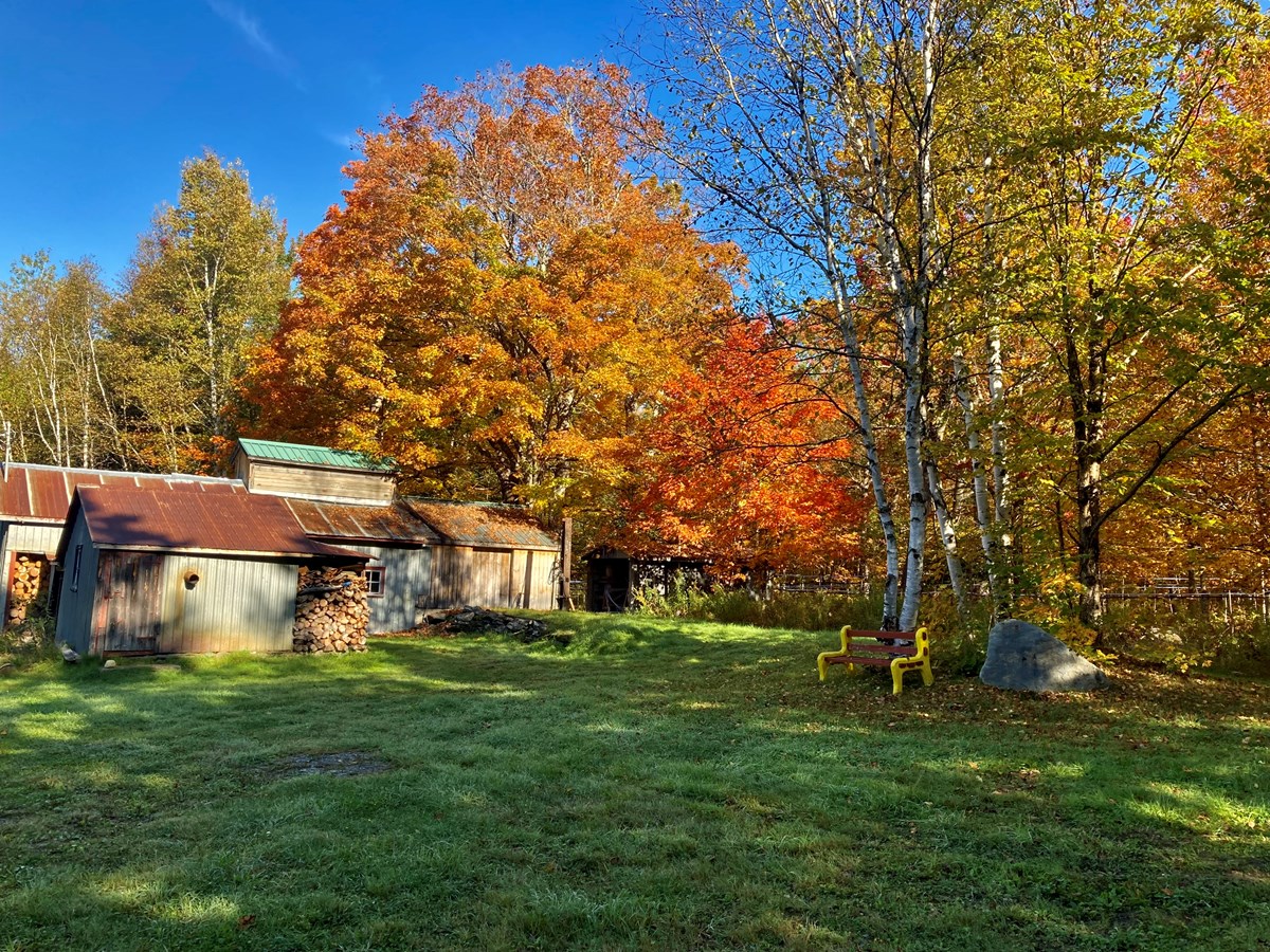Belle en toute saison