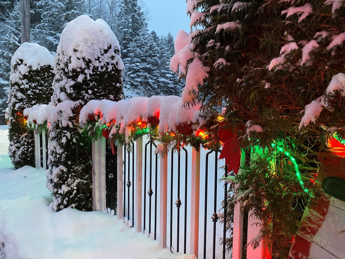 Une clôture bien garnie 