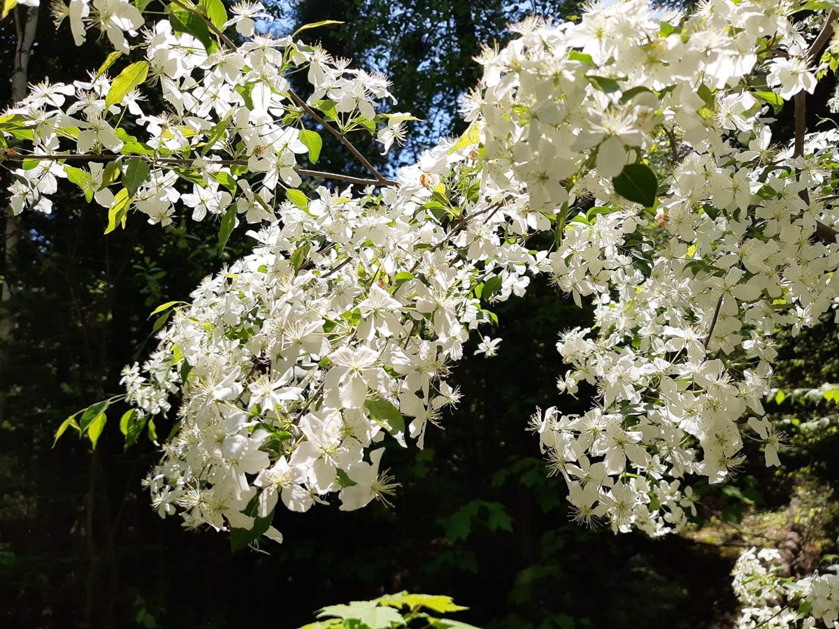 De l’ombre à la lumière