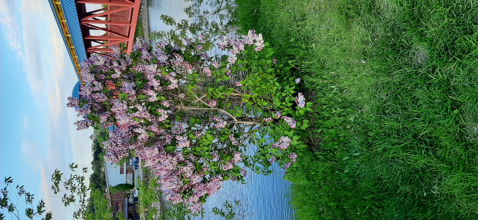 Passerelle depuis Parc Ile Pozer
