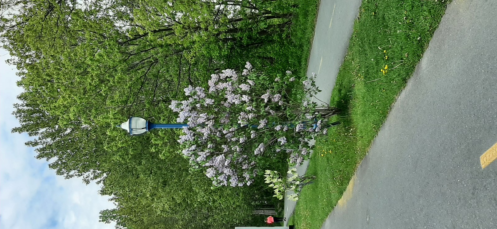 Piste cyclable passerelle proche parc Veilleux