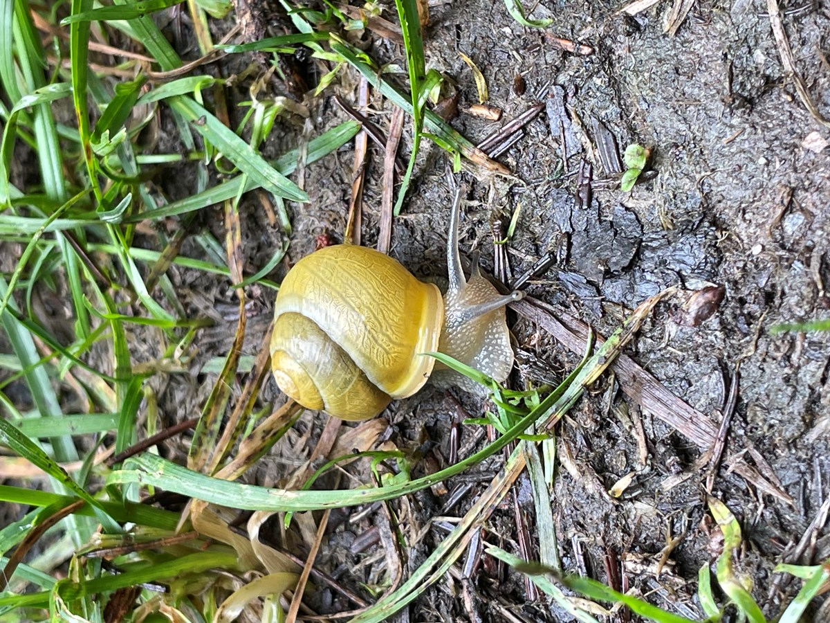 J’habite en Beauce 