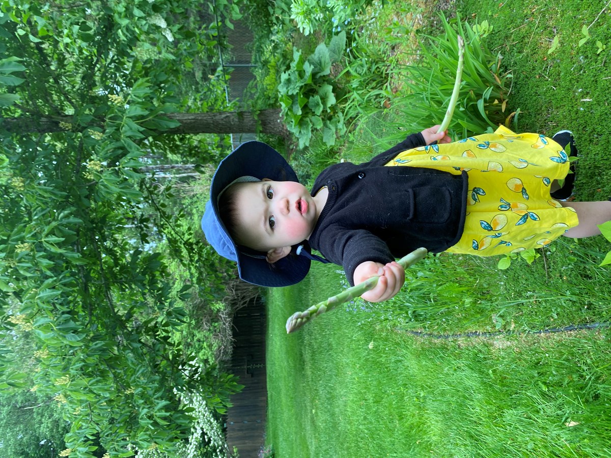 petit cultivateur d'asperges