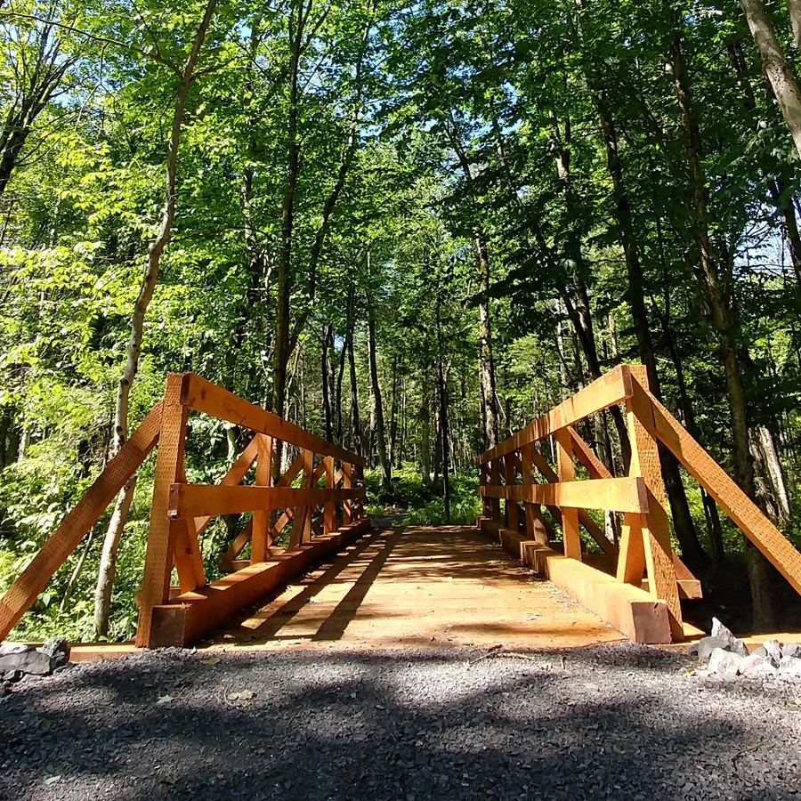 Pont sentier pedestre