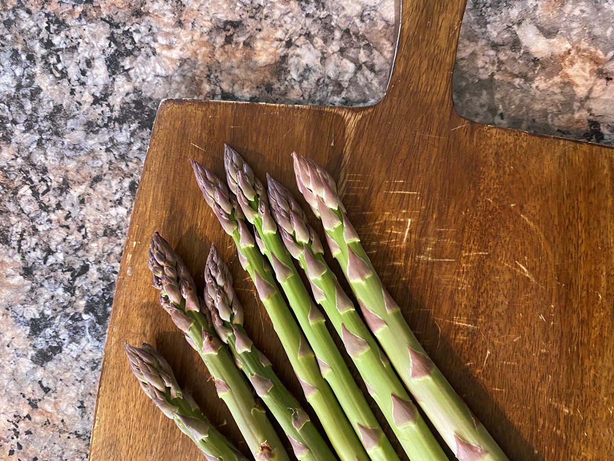 récolte d'asperges