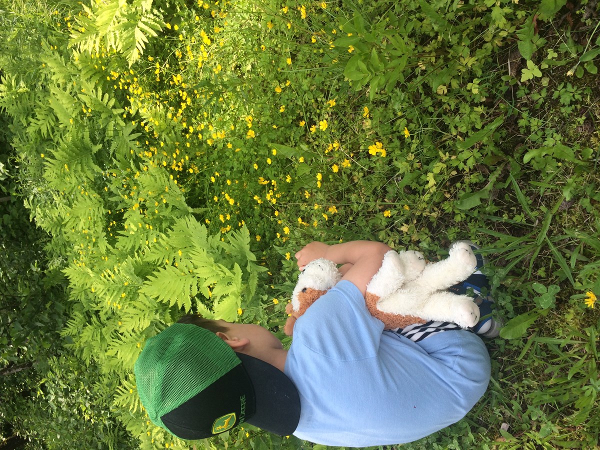 Regard sur la nature