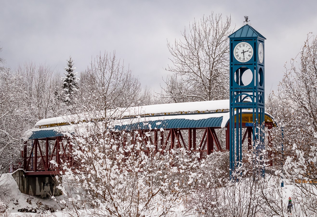 Île Pozer en janvier