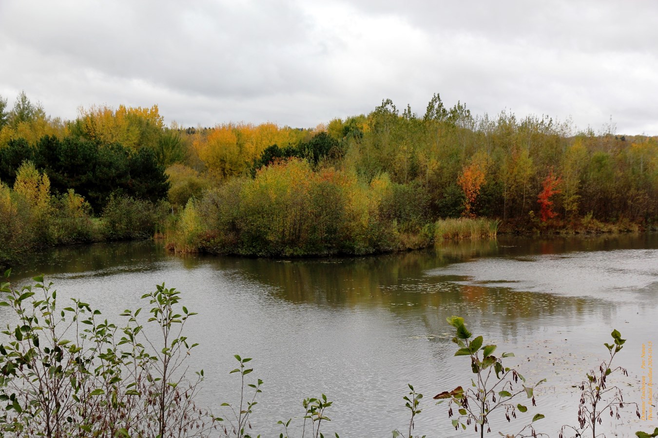 Domaine Taschereau - Parc Nature