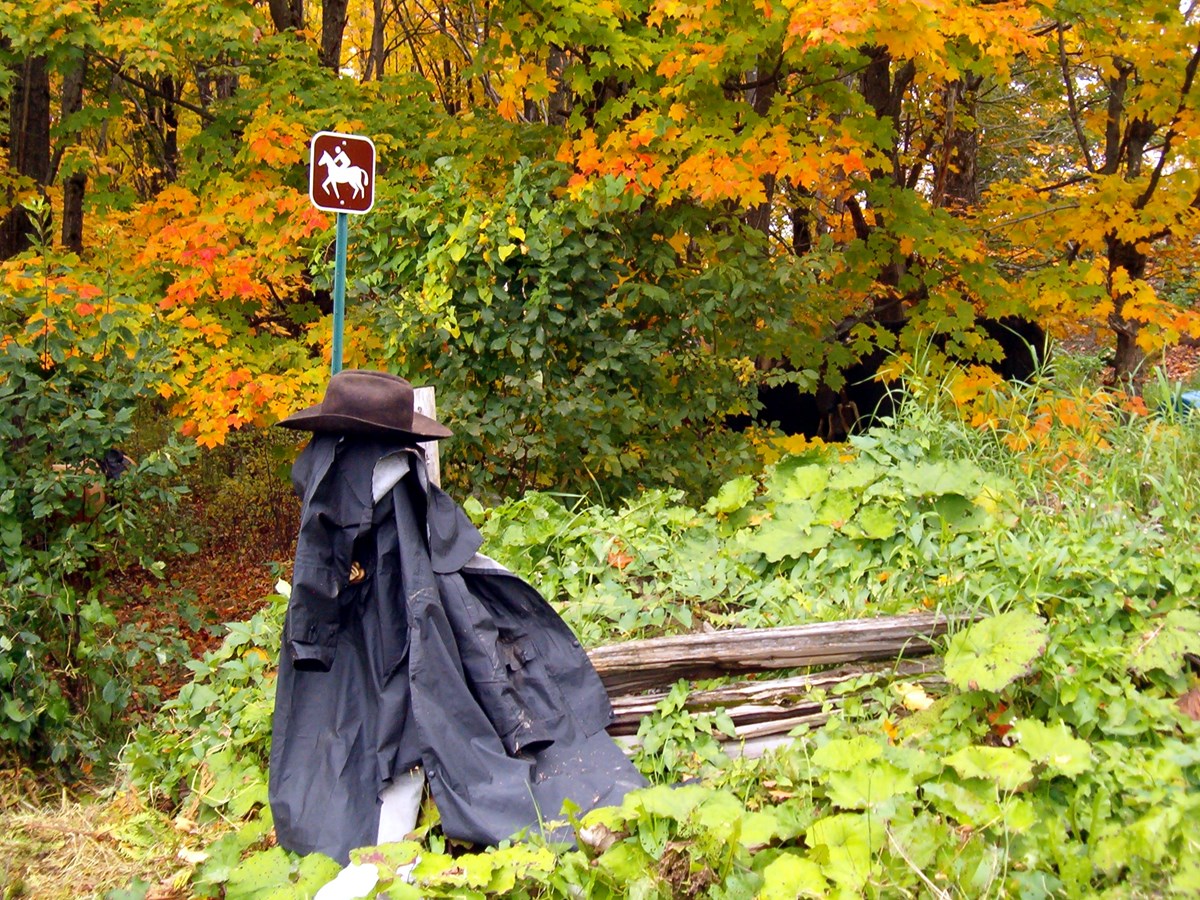 Équitation d'automne