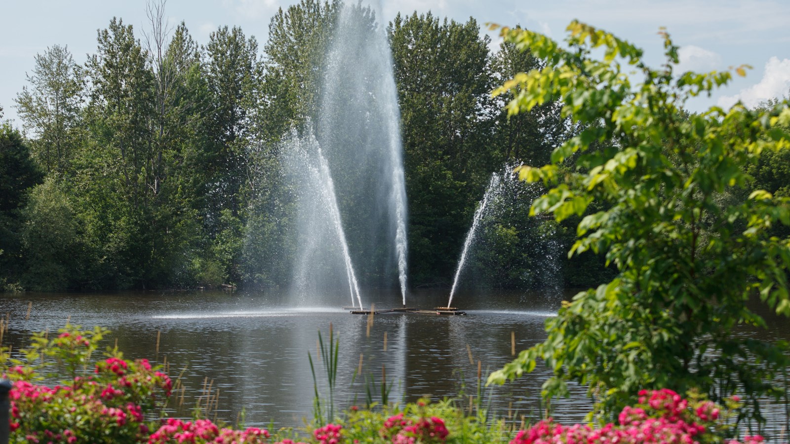 L'été à Saint-Georges